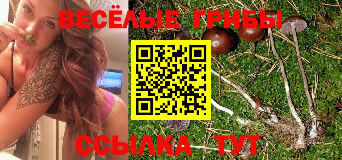 Псилоцибиновые грибы Psilocybe  Вход с VPN  Егорьевск  Галлюциногенные грибы мицелий 