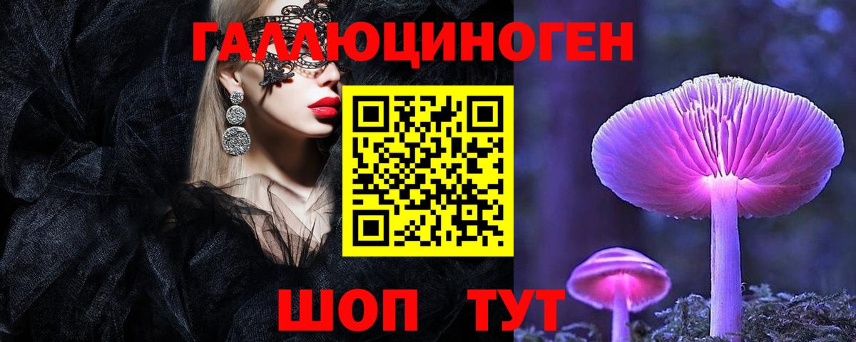 Псилоцибиновые грибы Psilocybe Егорьевск